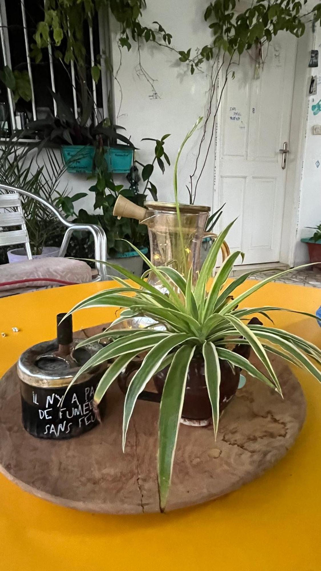 Dar Dyali Rooftop ⁿᵉᵃʳ ⁿᵍᵒʳ ᵇᵉᵃᶜʰ ᵃⁿᵈ ⁱˢˡᵃⁿᵈ Dakar Zewnętrze zdjęcie